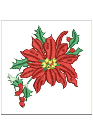 Chr070 - 4 X 4 Poinsettia